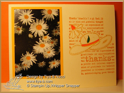 daisy and hat thanks