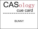 caso 34 - Bunny