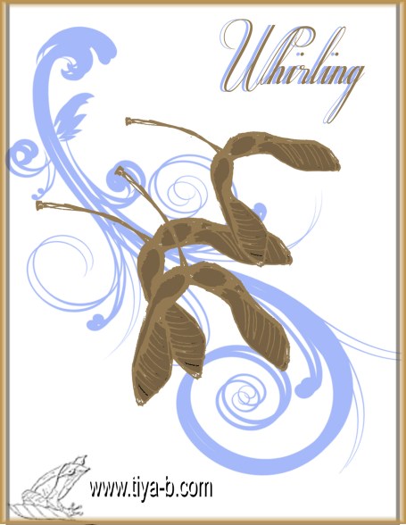 whirli-gig2