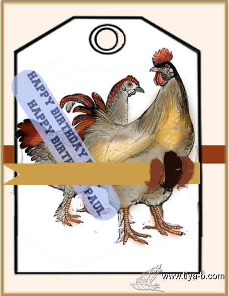 pauls-birthday-chickens