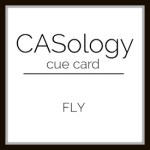 caso 255 –&nbsp;Fly
