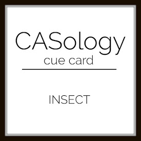 CASoWeek 252 - Insect