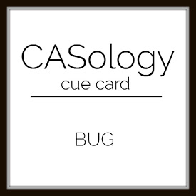 caso 291 - Bug