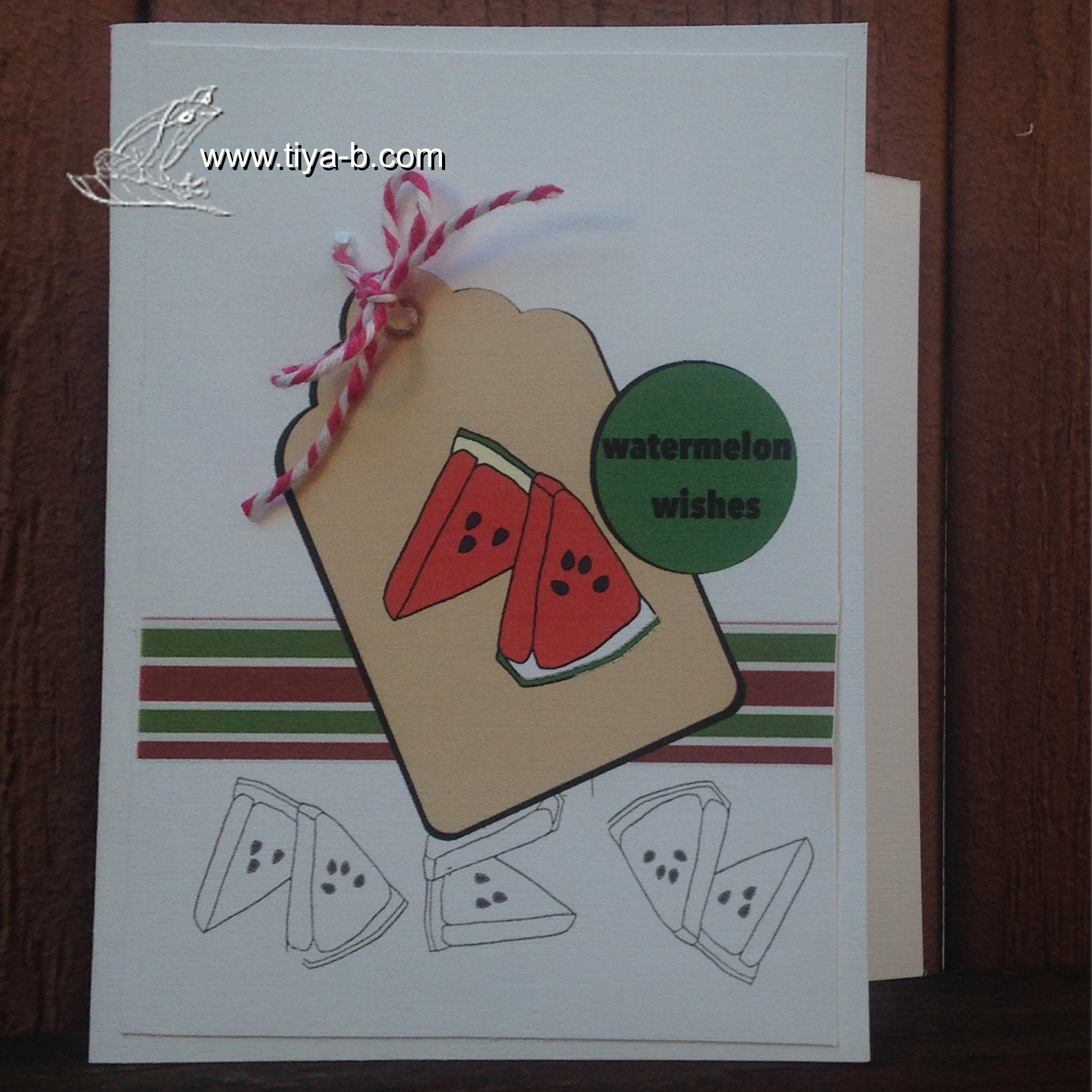 watermelon-wishes-18