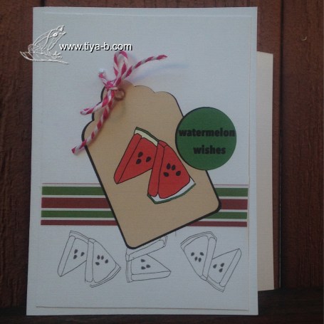 watermelon-wishes-18