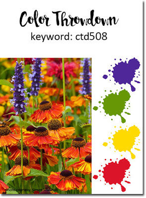 ct508 red ylo grn purpl