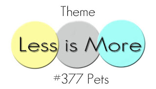 lim 377 Pets